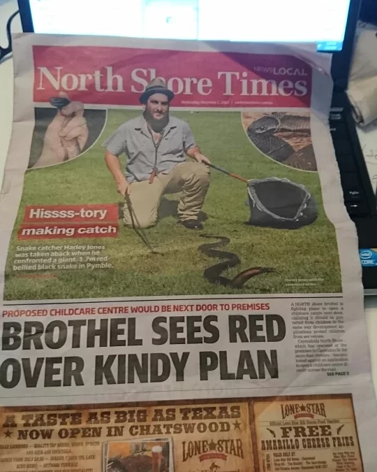Harley’s History-Making Red-Bellied Black Snake Catch