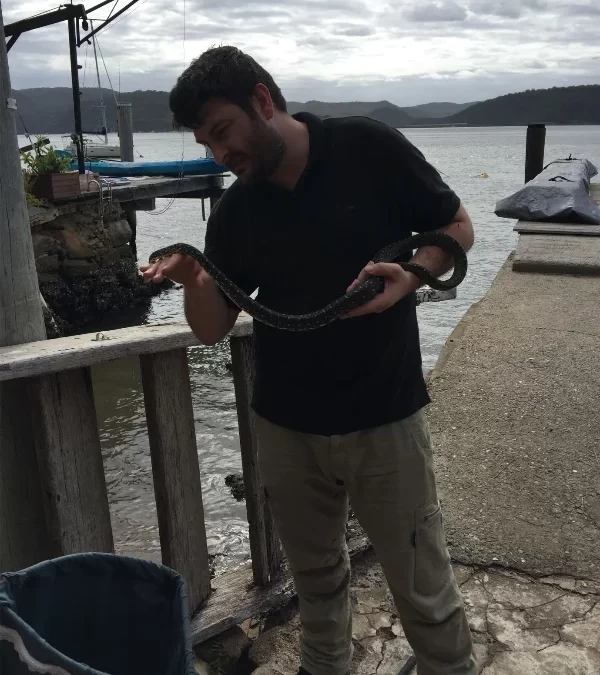 Snake Rescue on a Hawkesbury River Island