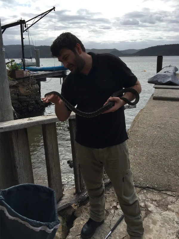 Snake Rescue on a Hawkesbury River Island