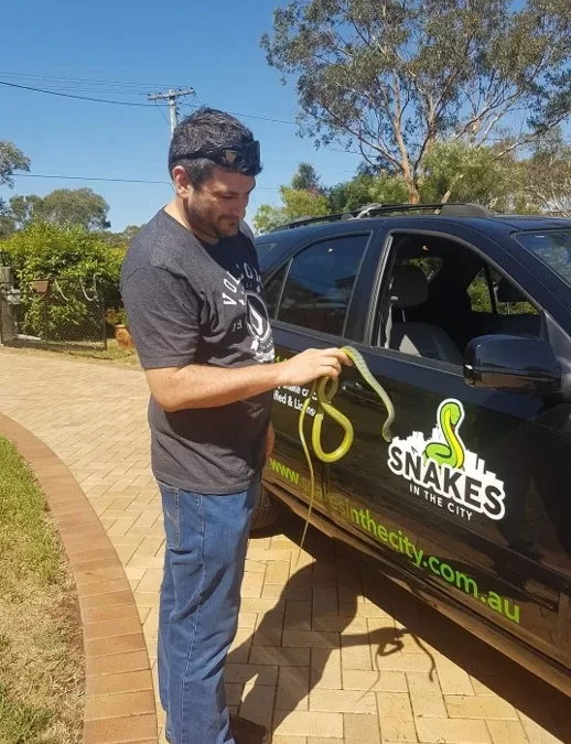 The Snake That Matched the Logo