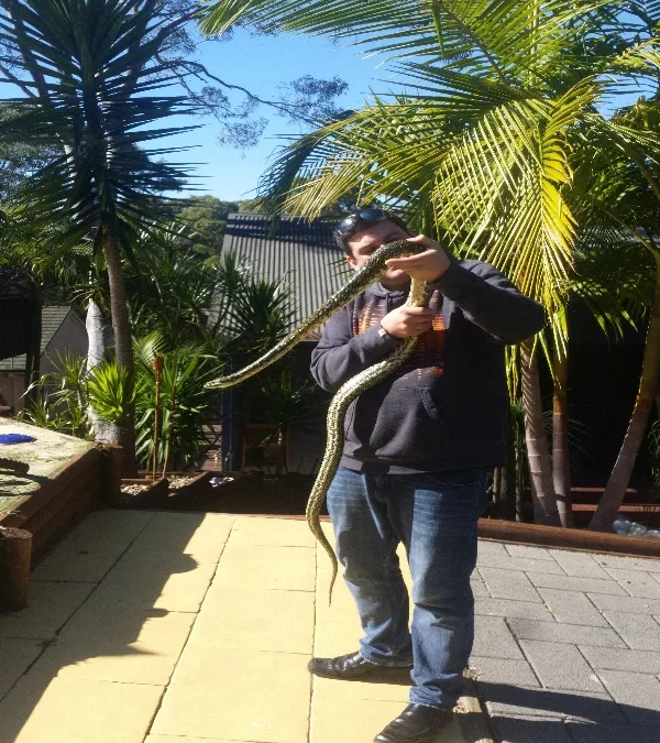 Seven-Foot Diamond Python Found Basking in Dural Garden