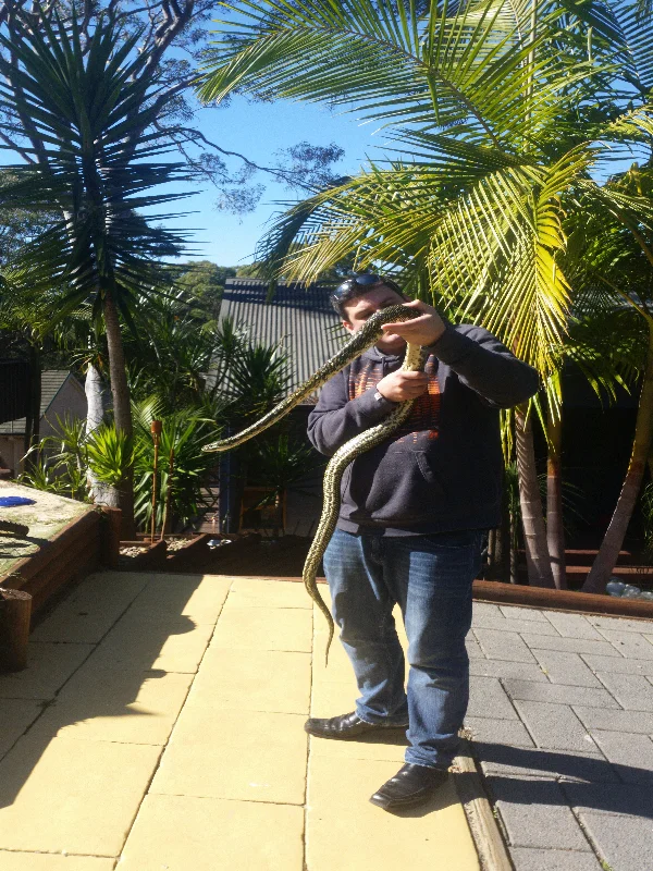 Seven-Foot Diamond Python