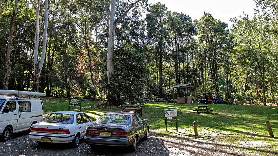 Forest canopy and walking track at Cumberland State Forest near West Pennant Hills