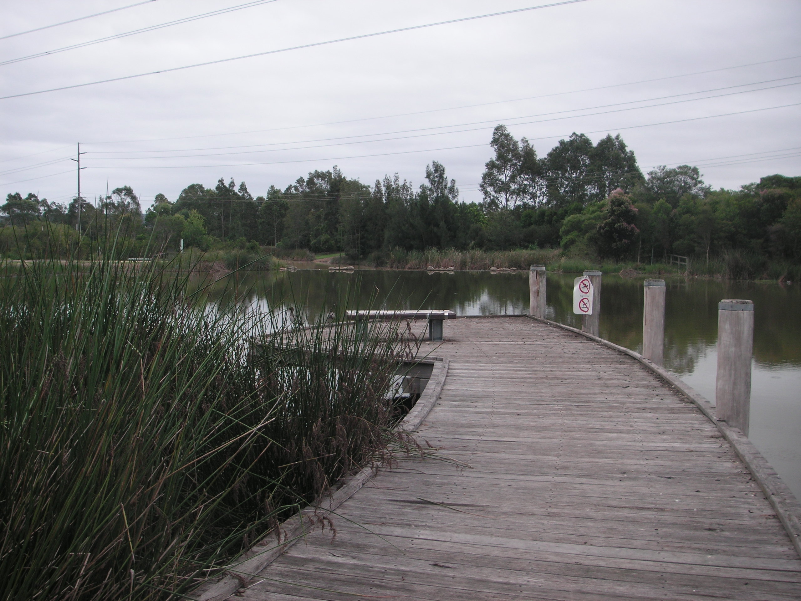 Blue Hills Wetland in Glenmore Park