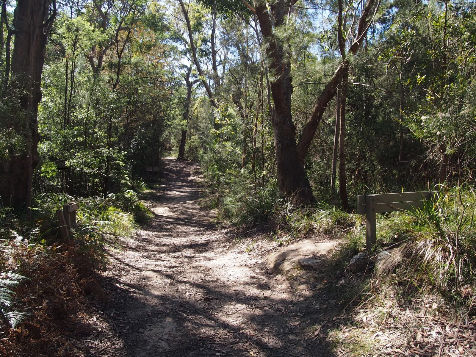 A shaded bushland path among trees at Ku-ring-gai Wildflower Garden, St Ives