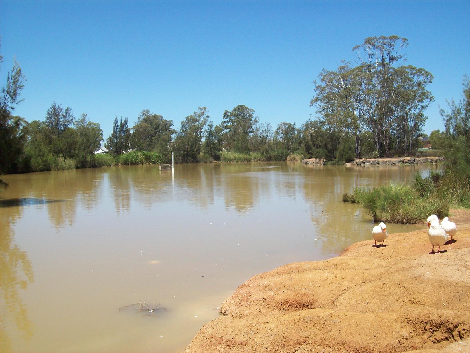 Stormwater basin, trees and waterbirds at Plumpton Park in 2009