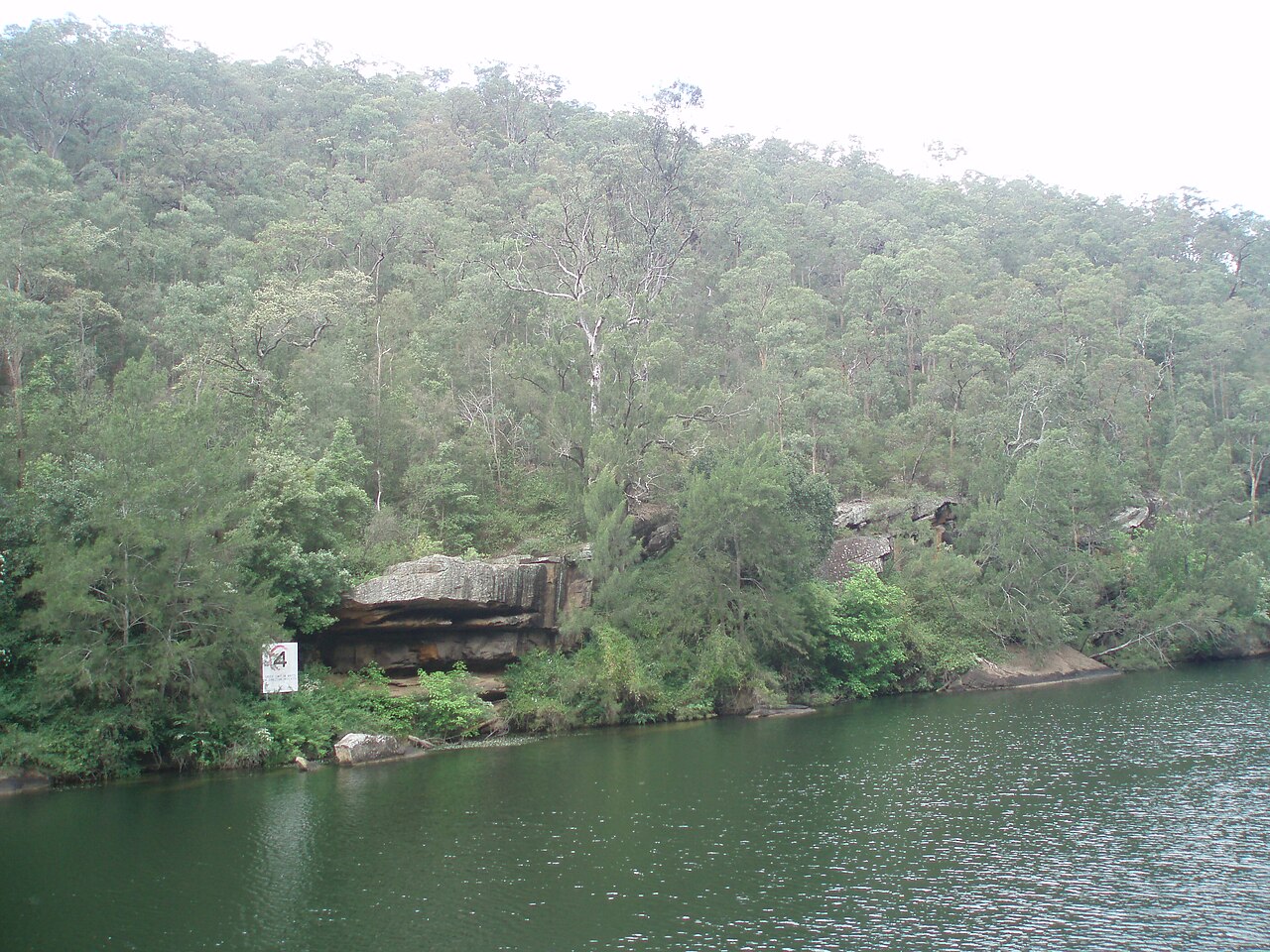 Wooded Nepean Gorge riverbank south of Penrith, photographed in 2010