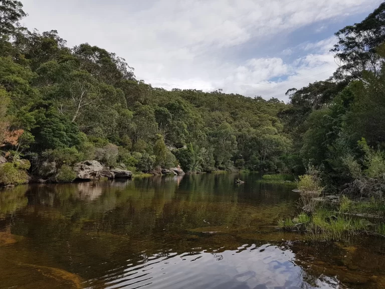 The Needles on the Woronora River at Engadine with sandstone and native vegetation