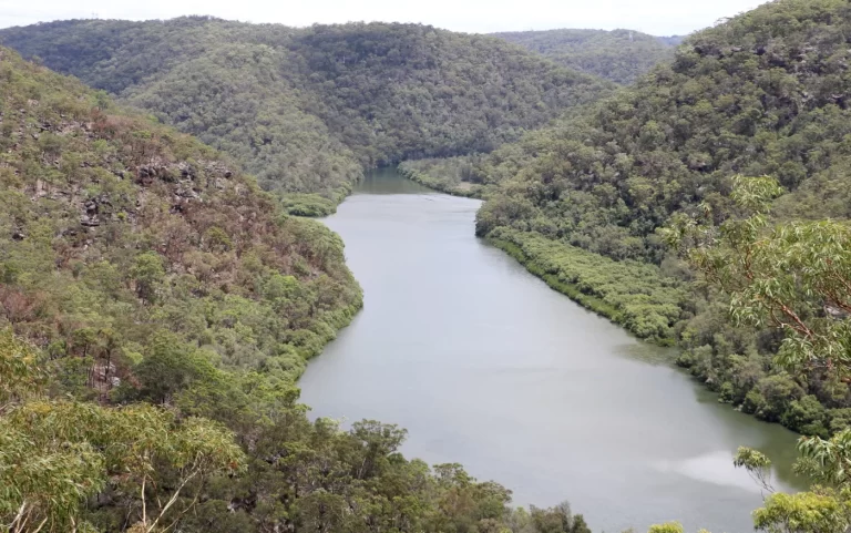 Berowra Creek within Berowra Valley National Park near Thornleigh