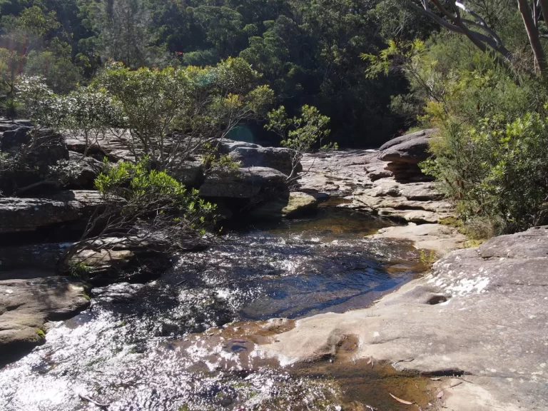 The Cascades trail and creek habitat at Belrose