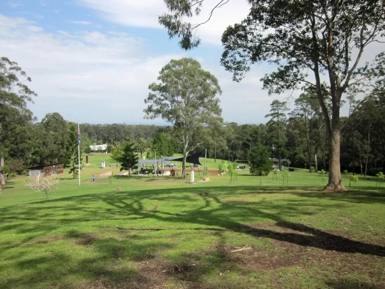 Open grass and remnant trees at Castle Hill Heritage Park