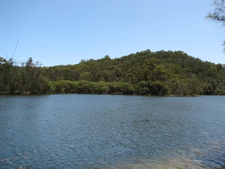Garigal National Park and Middle Harbour beside Belrose