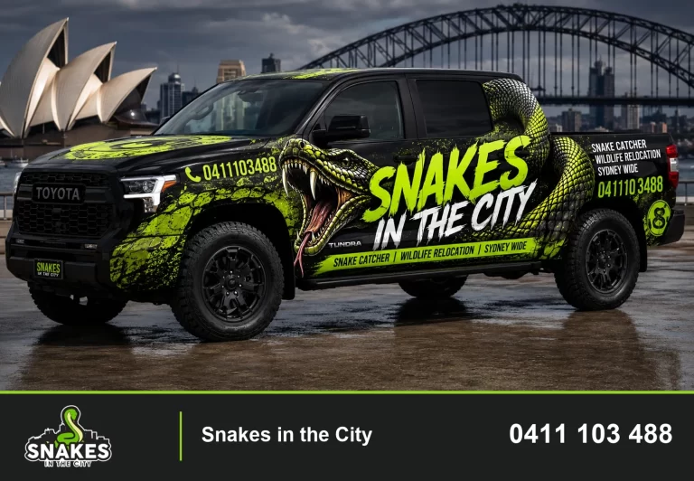 Snakes in the City car — promotional artwork with Sydney Harbour landmarks.