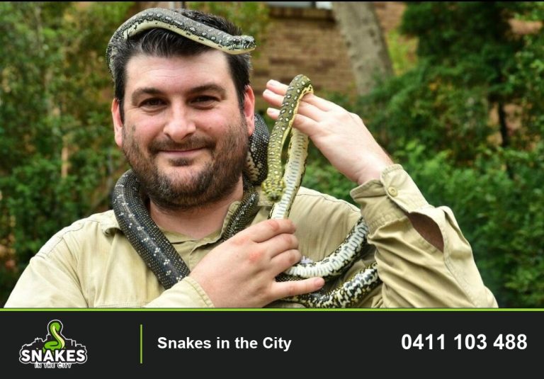 Harley Jones from Snakes in the City