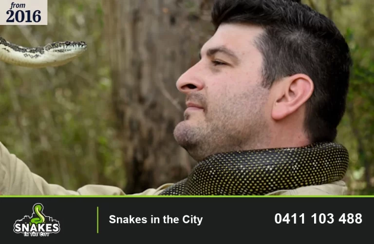 Man with a patterned python around his neck; the supplied image is labelled “from 2016”.
