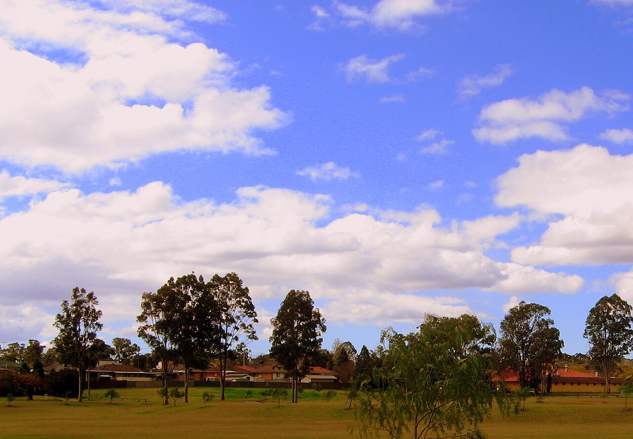 Open grass and eucalyptus trees beside single-storey homes in South Penrith