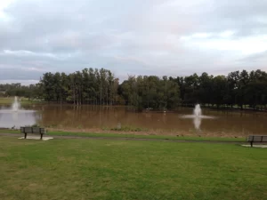 Werrington Lakes Flora and Fauna Reserve, photographed in 2015