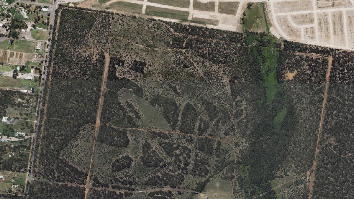 Aerial photograph centred on Shanes Park showing extensive woodland, tracks and adjoining rural properties
