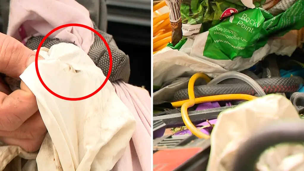 Snake discovered during an unusual Sydney call-out reported in the media